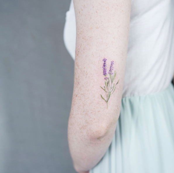 Lavender by Sol Art