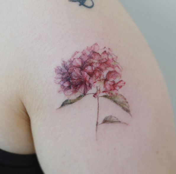 Gorgeous red hydrangea by Tattooist Flower