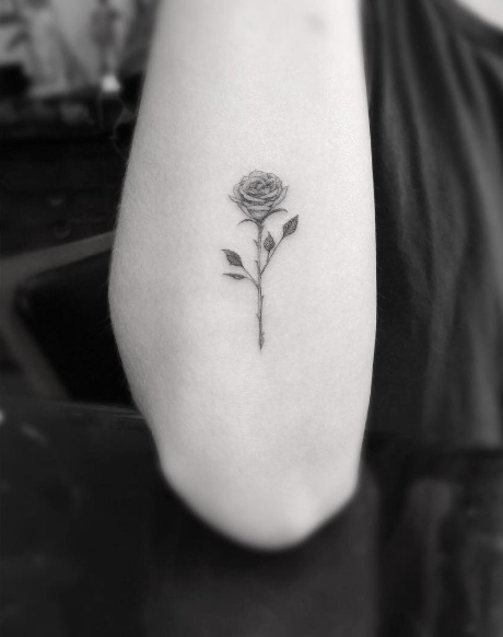 Single needle rose by Doctor Woo