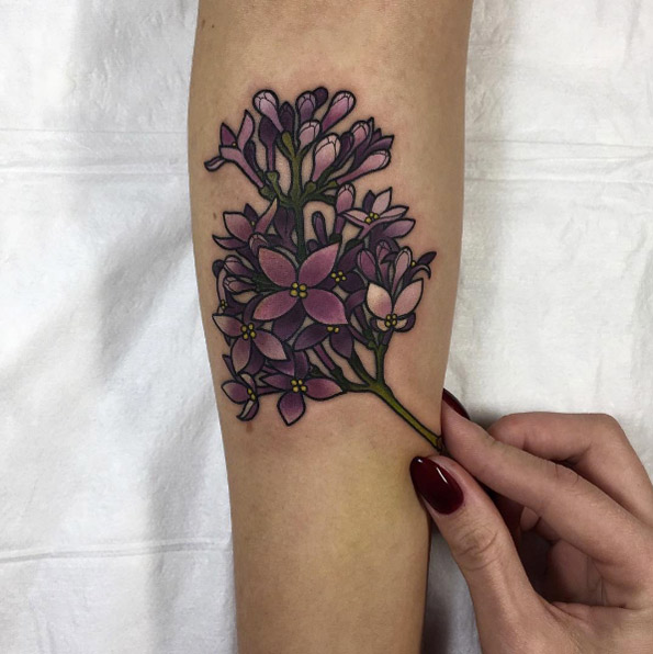 Purple blossoms by Anastasia Slutskaya