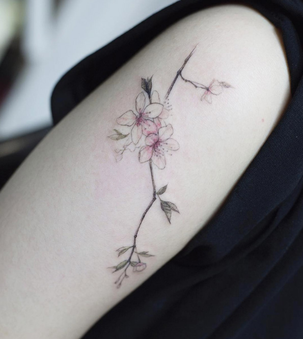 Cherry blossoms by Tattooist Flower
