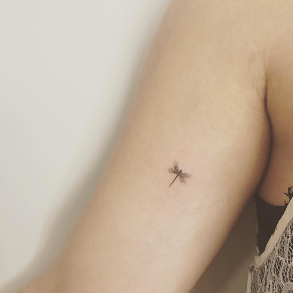 Micro dragonfly by Aline Hueb