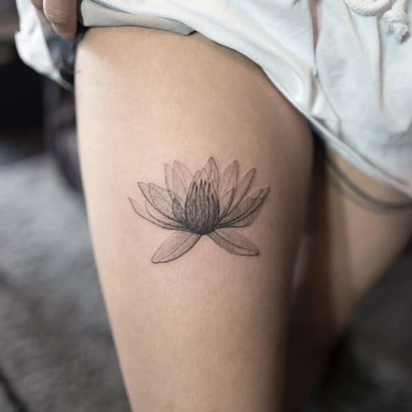 X-ray lotus flower by Hongdam