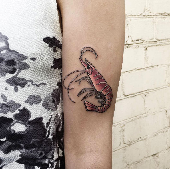 Shrimp by Anastasia Slutskaya