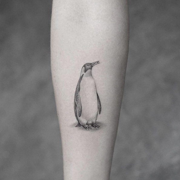 Penguin by Sanghyuk Ko