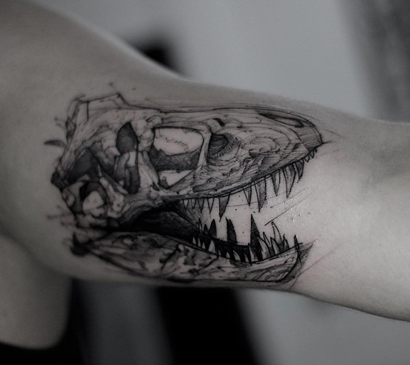 T-rex skull by Kamil Mokot