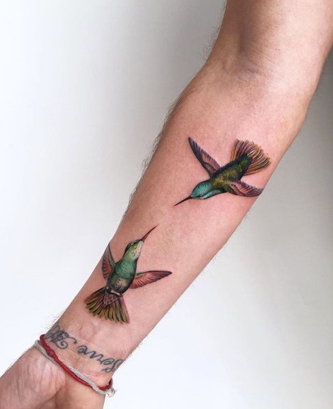 Hummingbirds by Amanda Wachob