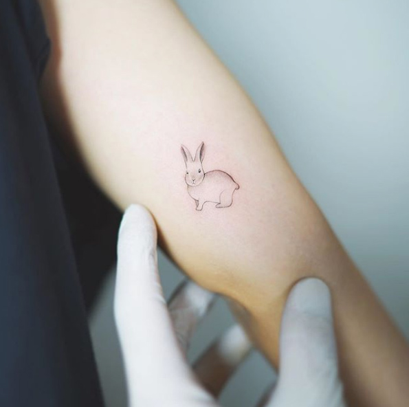 Bunny by Nando