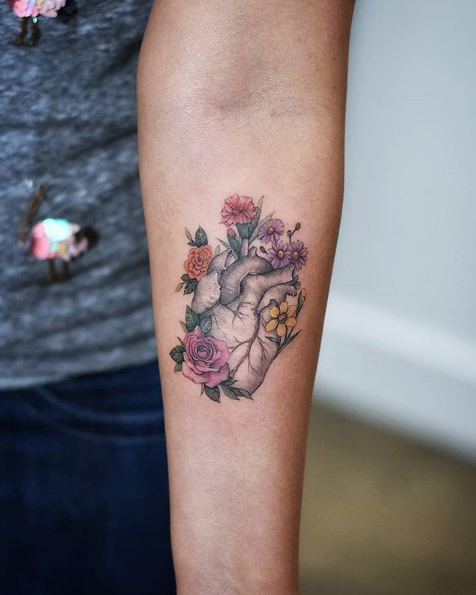 Anatomical heart by Dragon