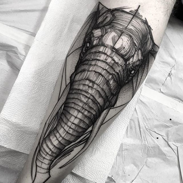 Elephant by Fredao Oliveira