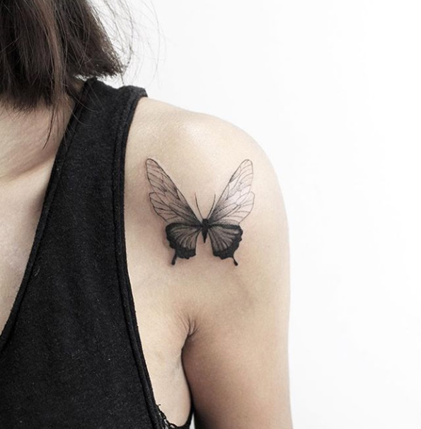 Butterfly by Fatih Odabas