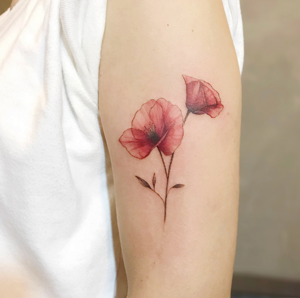 Poppies by Karin
