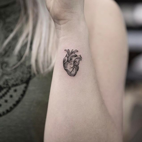 Anatomical heart by Max