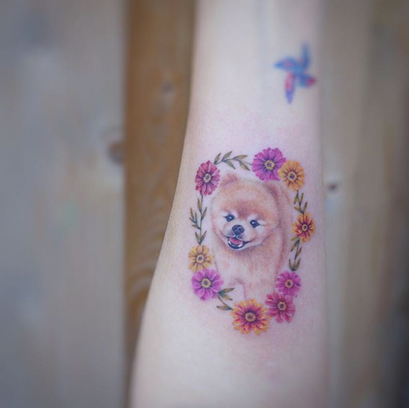 Pomeranian by G.NO
