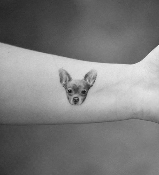 Tiny Chihuahua by Dragon