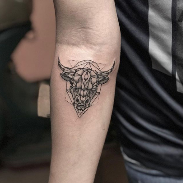 Taurus bull by Hung Vo