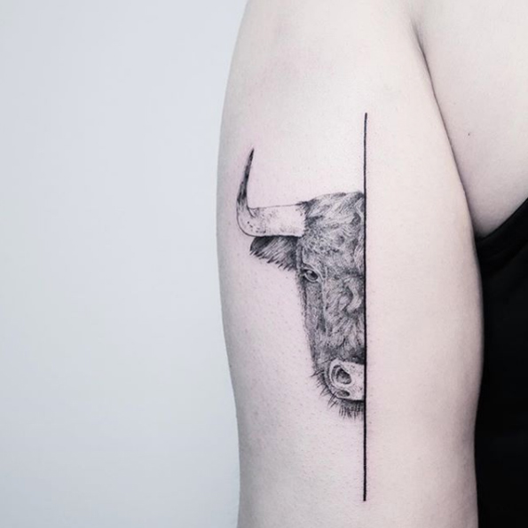 Taurus bull by Anna Maria Reh