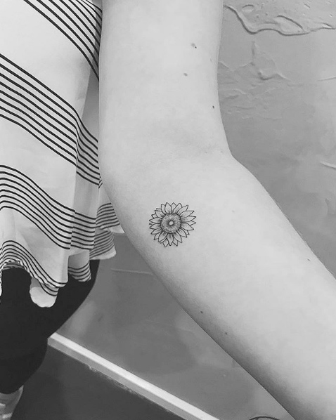 Sunflower by Cholo
