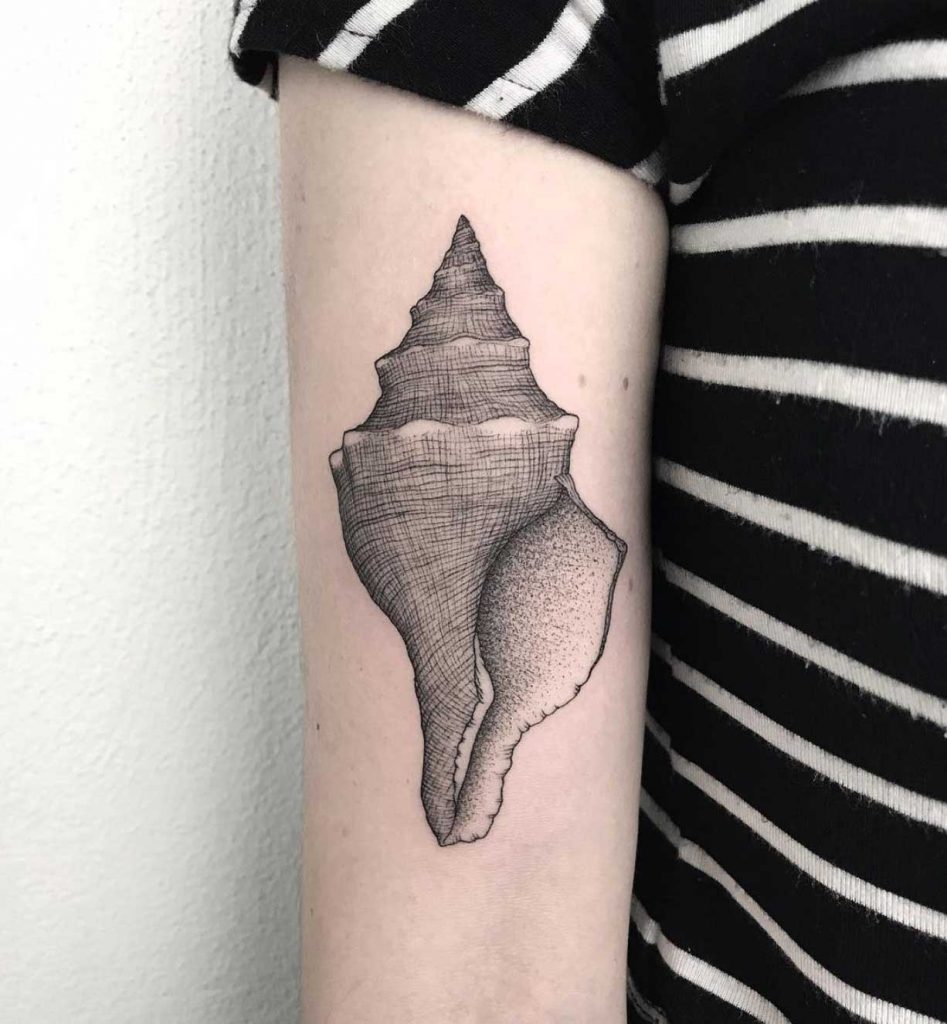Seashell tattoo by Michele Volpi