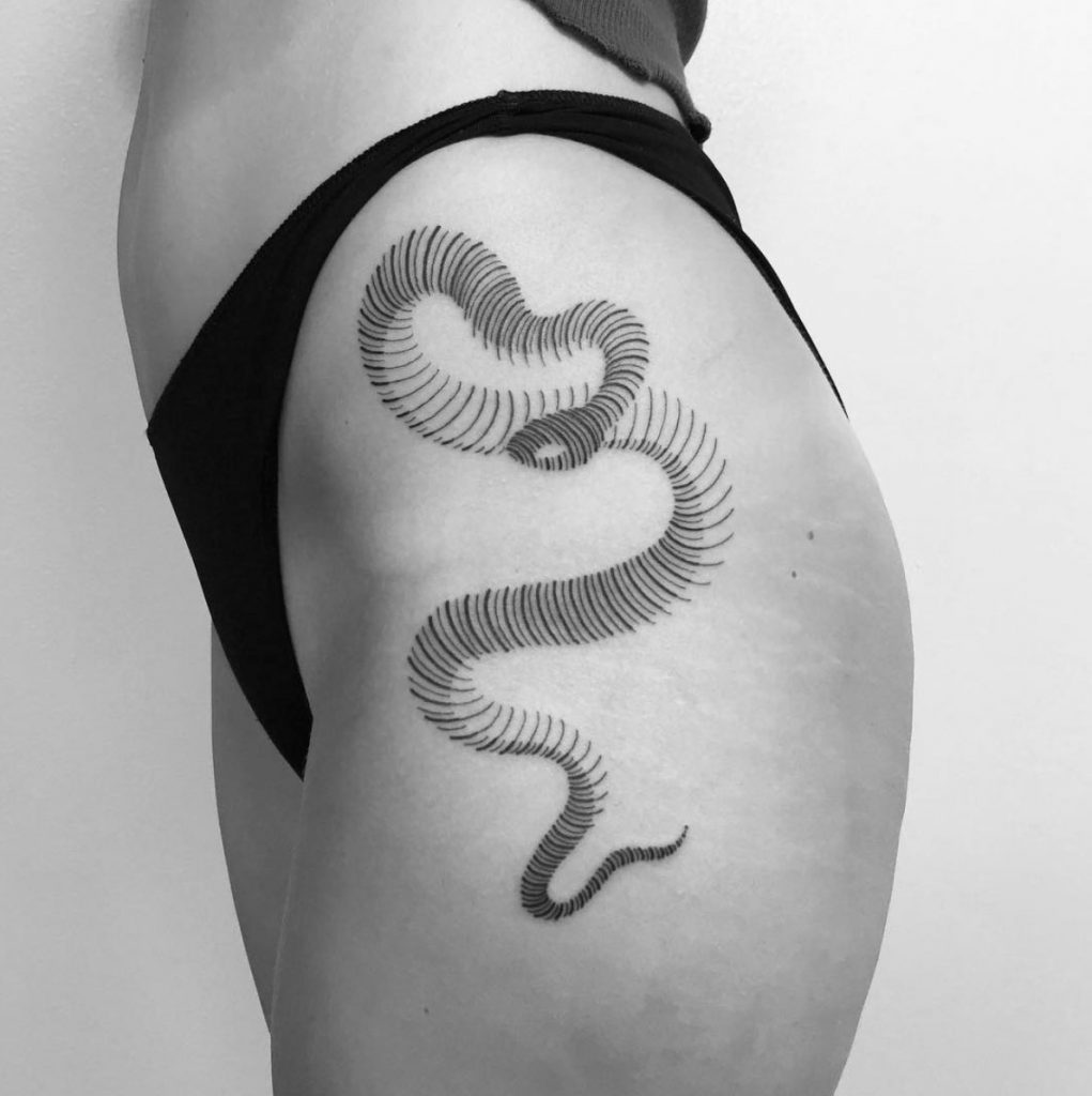 Snake by Francesco Rossetti