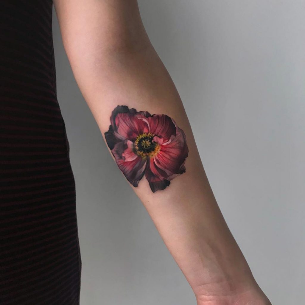 Stunning poppy by Amanda Wachob