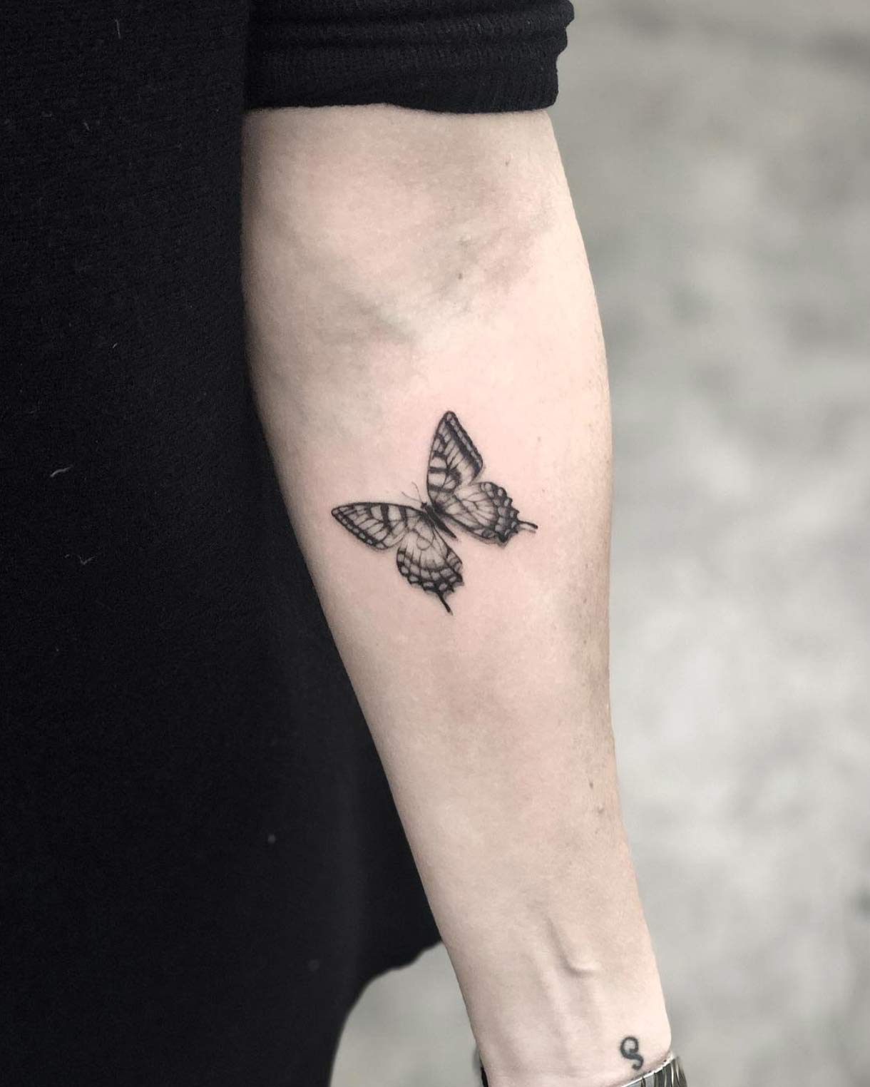 Butterfly by Victoria Do