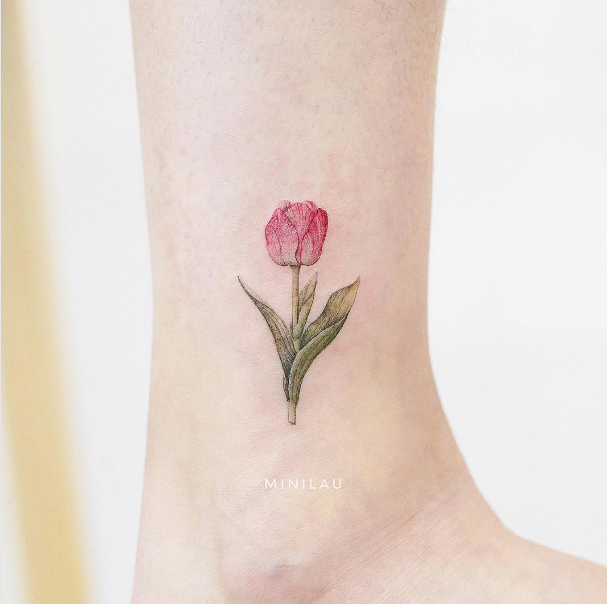A tulip by Mini Lau